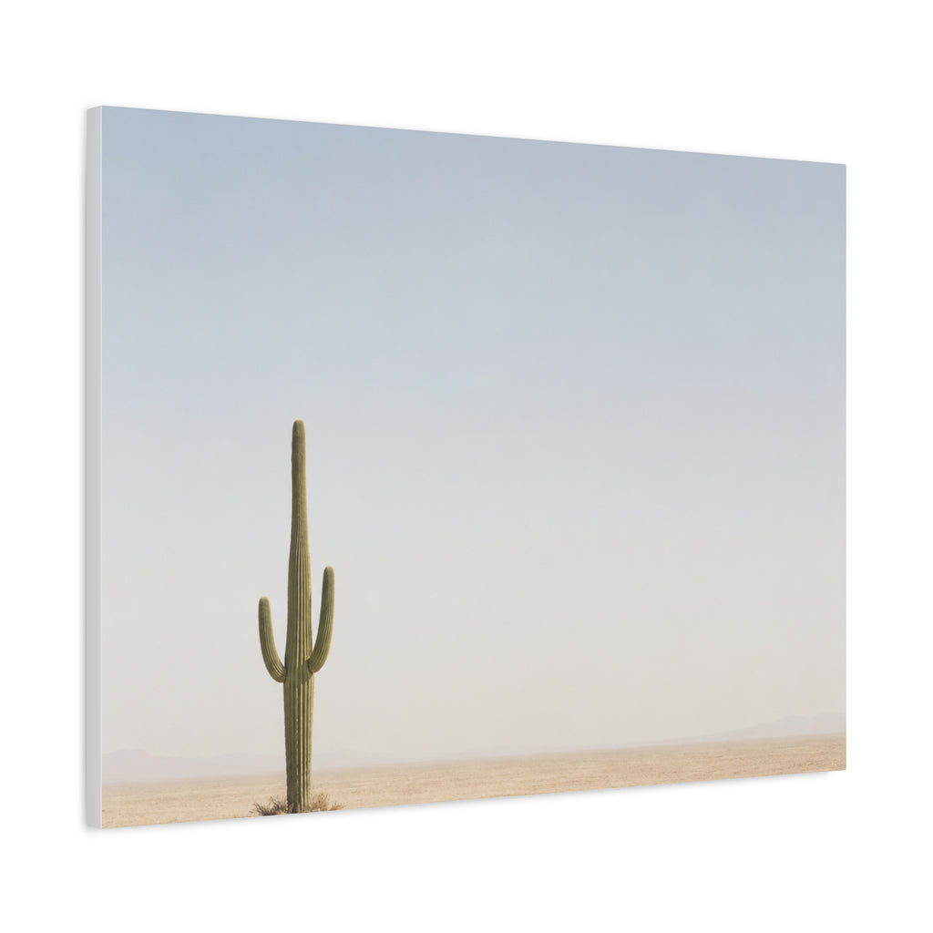 Solitary Cactus