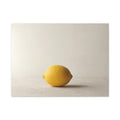 Lemon on Stone Surface