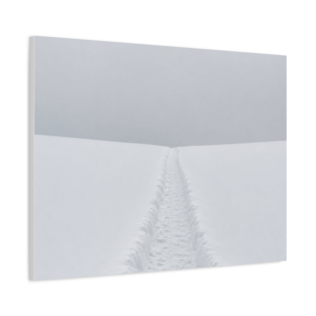 Winter Path to Nowhere