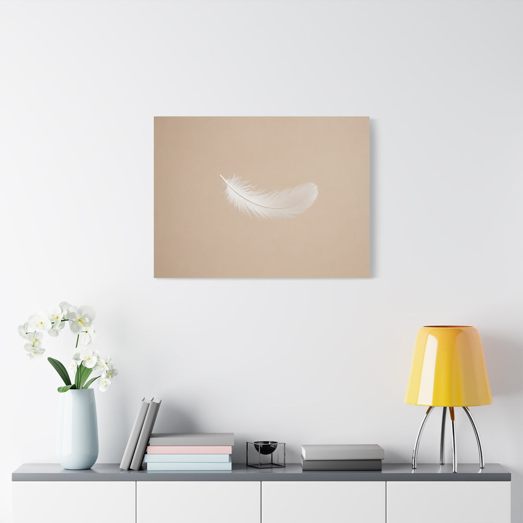 Delicate Feather in Soft Light