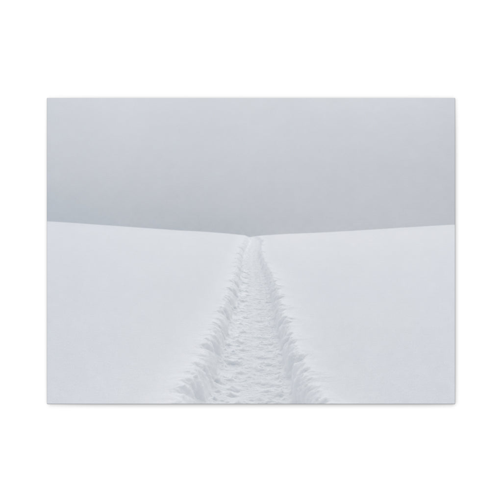 Winter Path to Nowhere