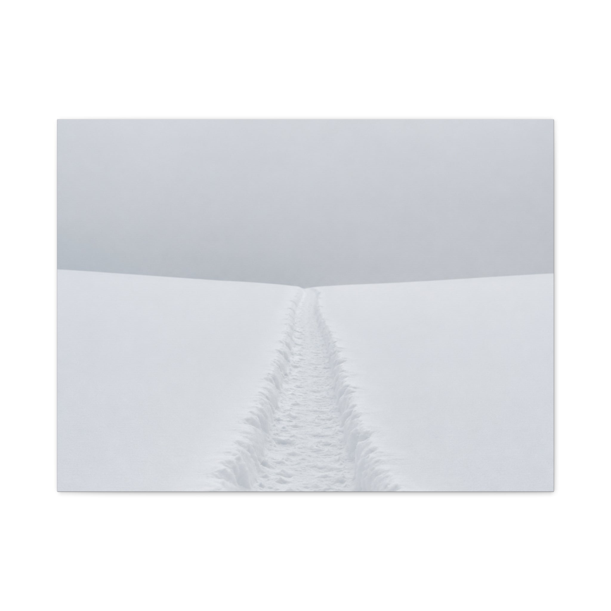 Winter Path to Nowhere