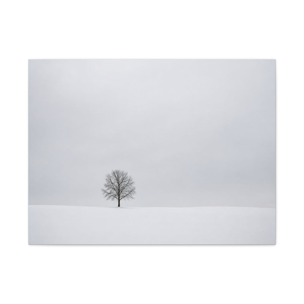 Tree in Winter Solitude