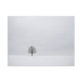 Tree in Winter Solitude