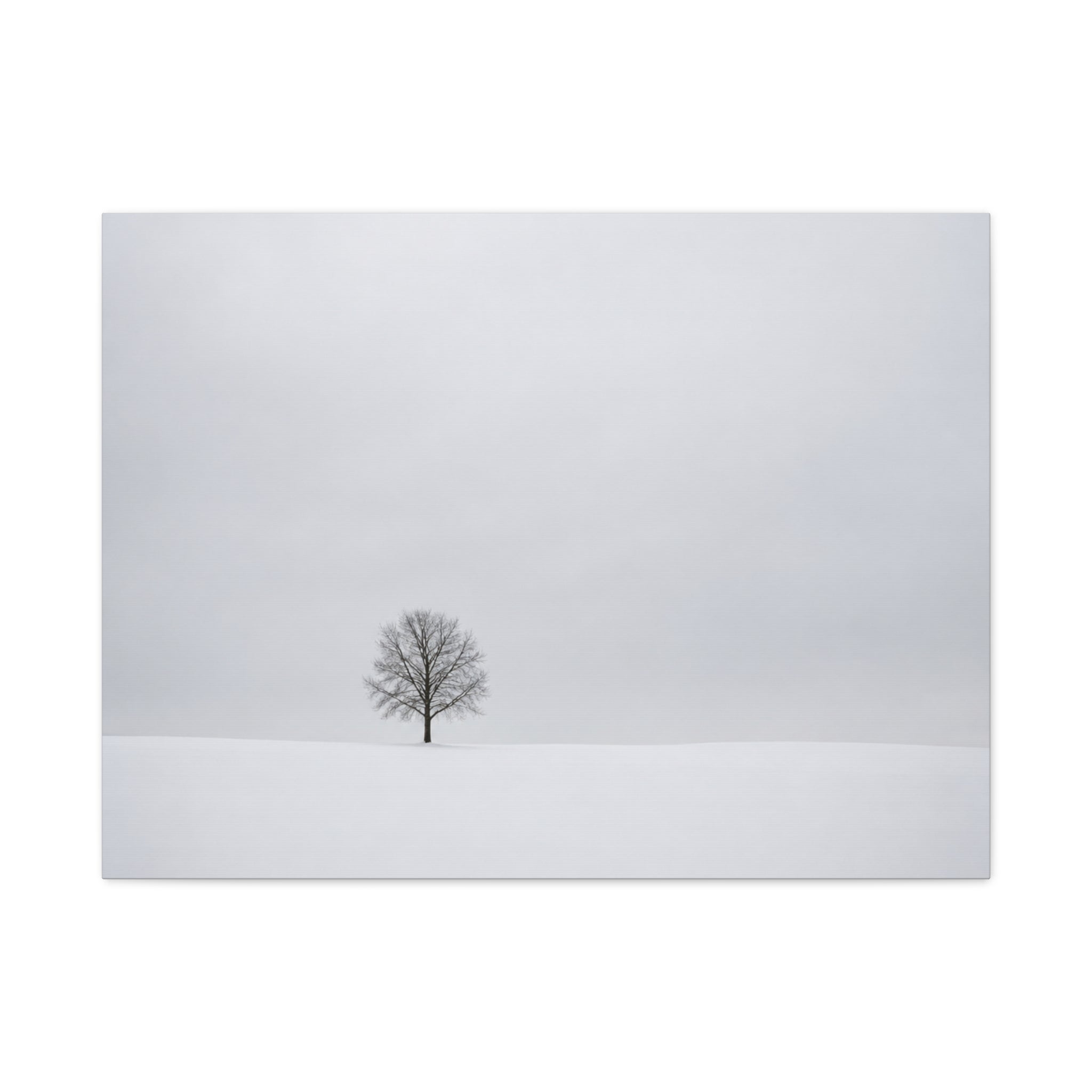 Tree in Winter Solitude