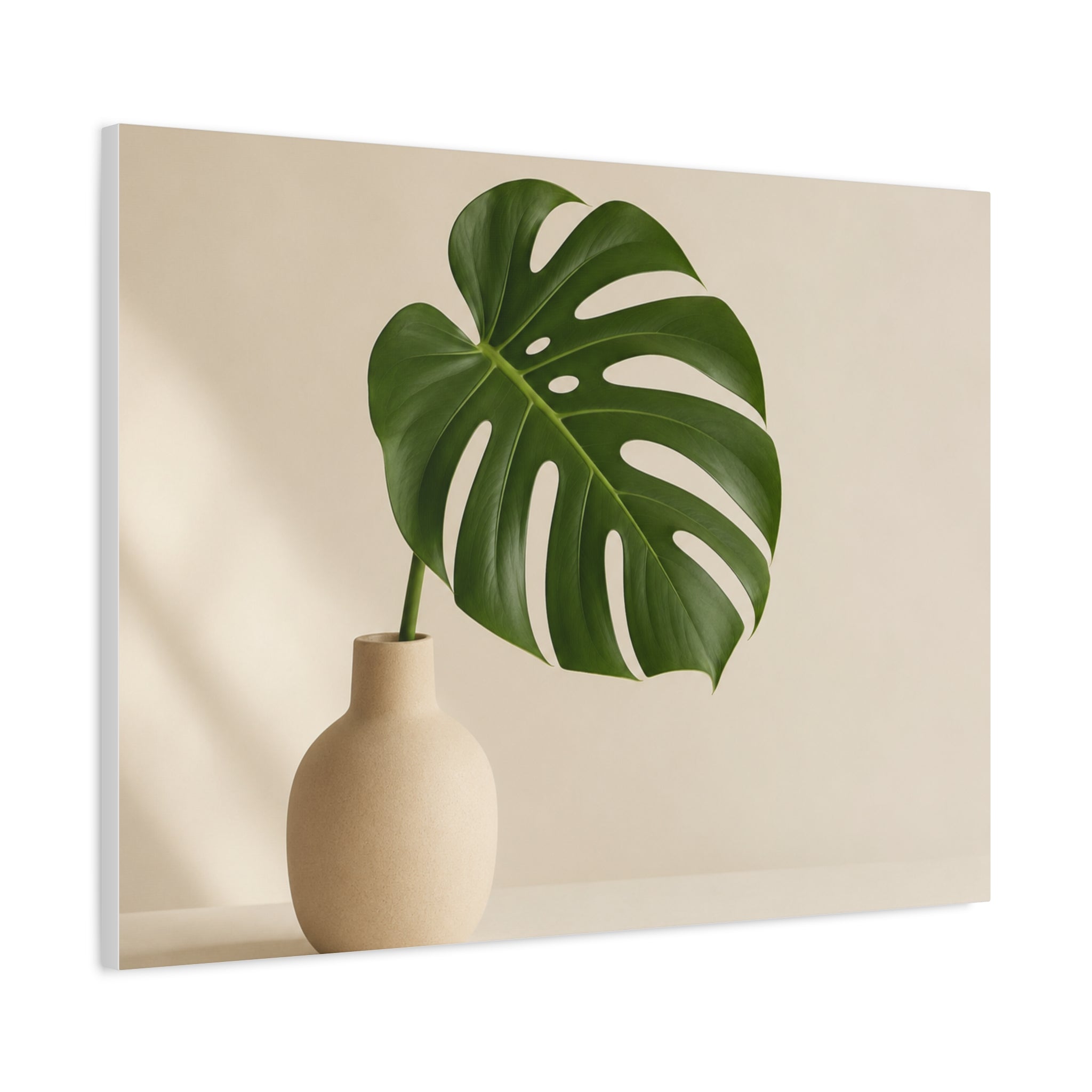 Monstera Leaf in Soft Light
