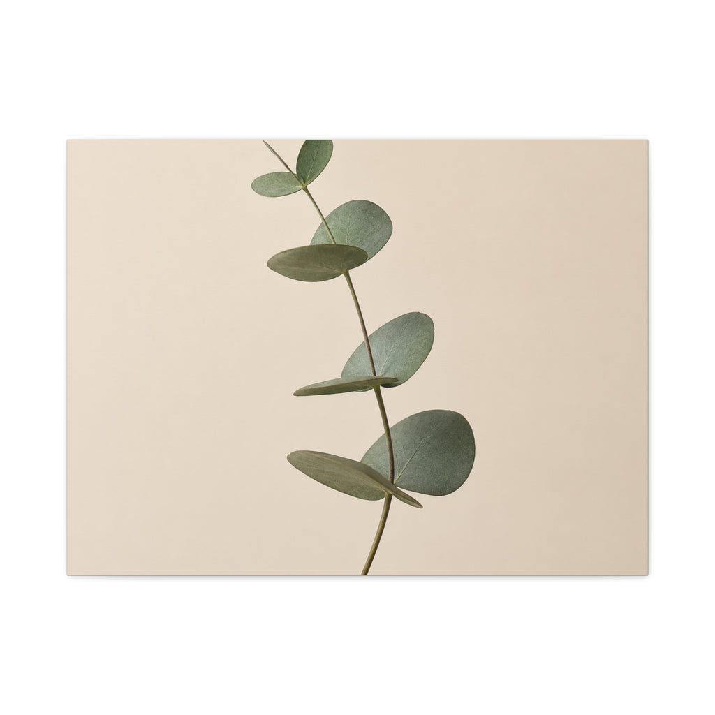 Elegant Eucalyptus Sprig