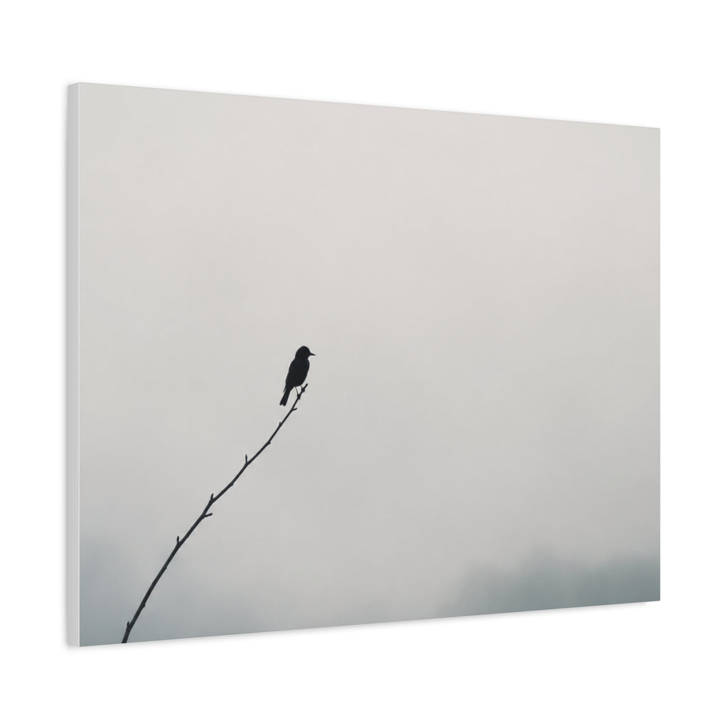 Solitary Bird in the Fog