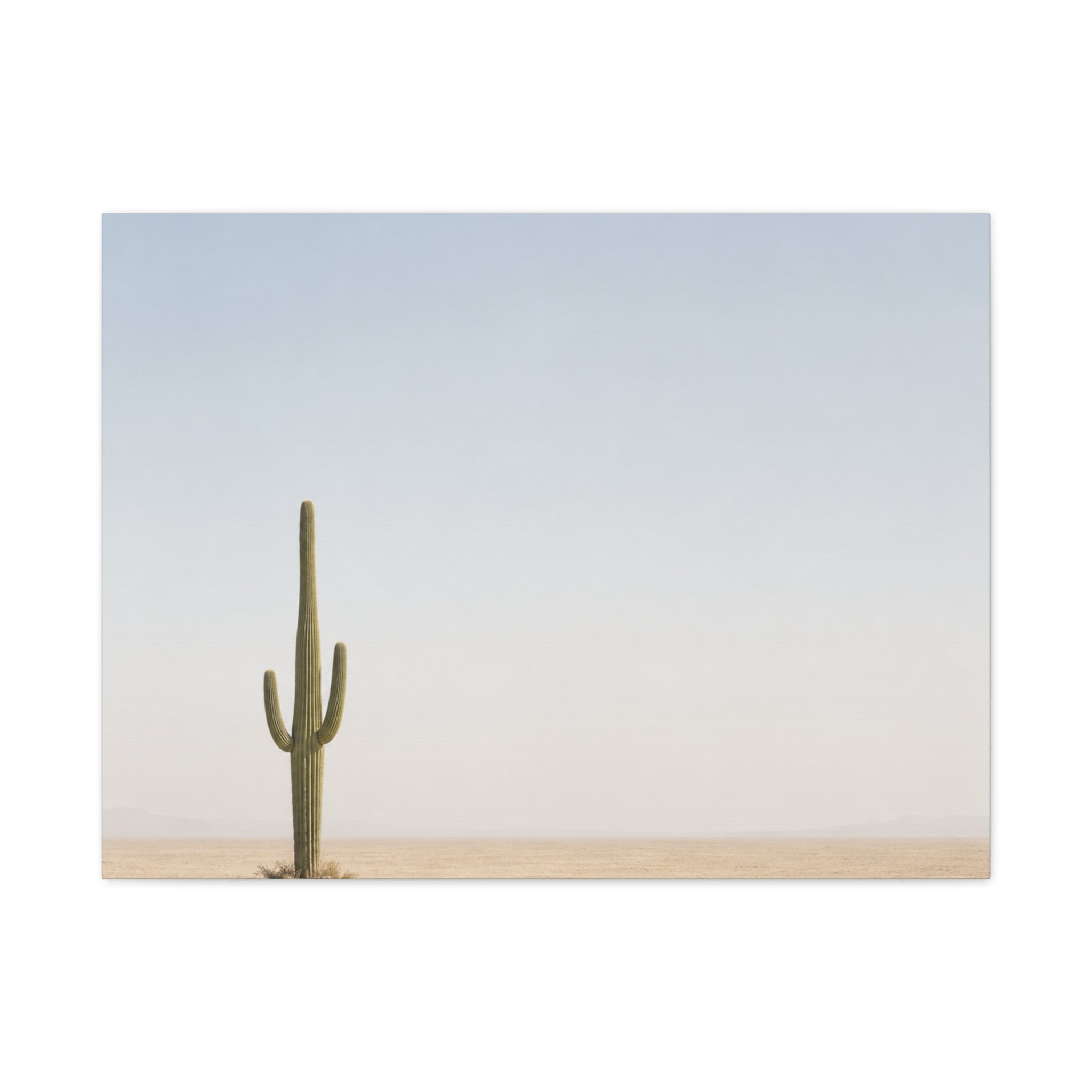 Solitary Cactus