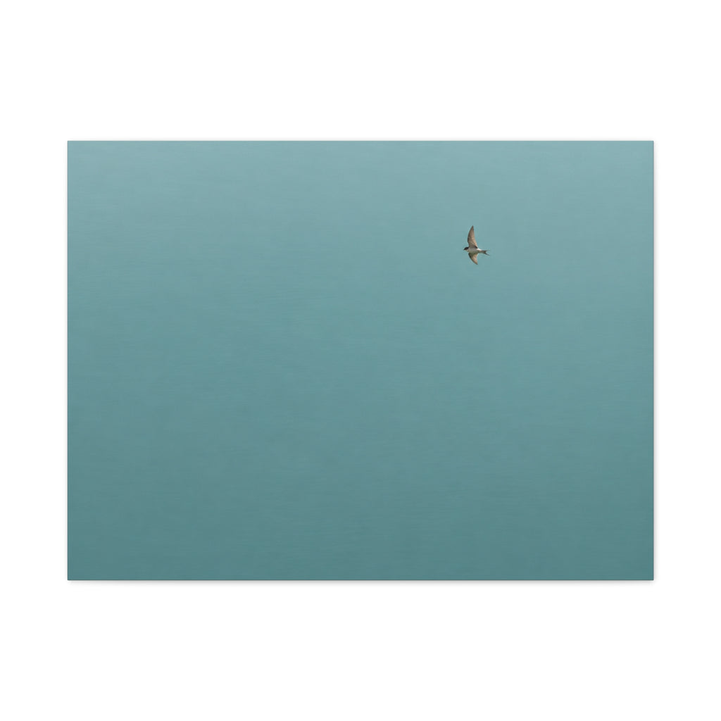 Flying Solo in Endless Skies