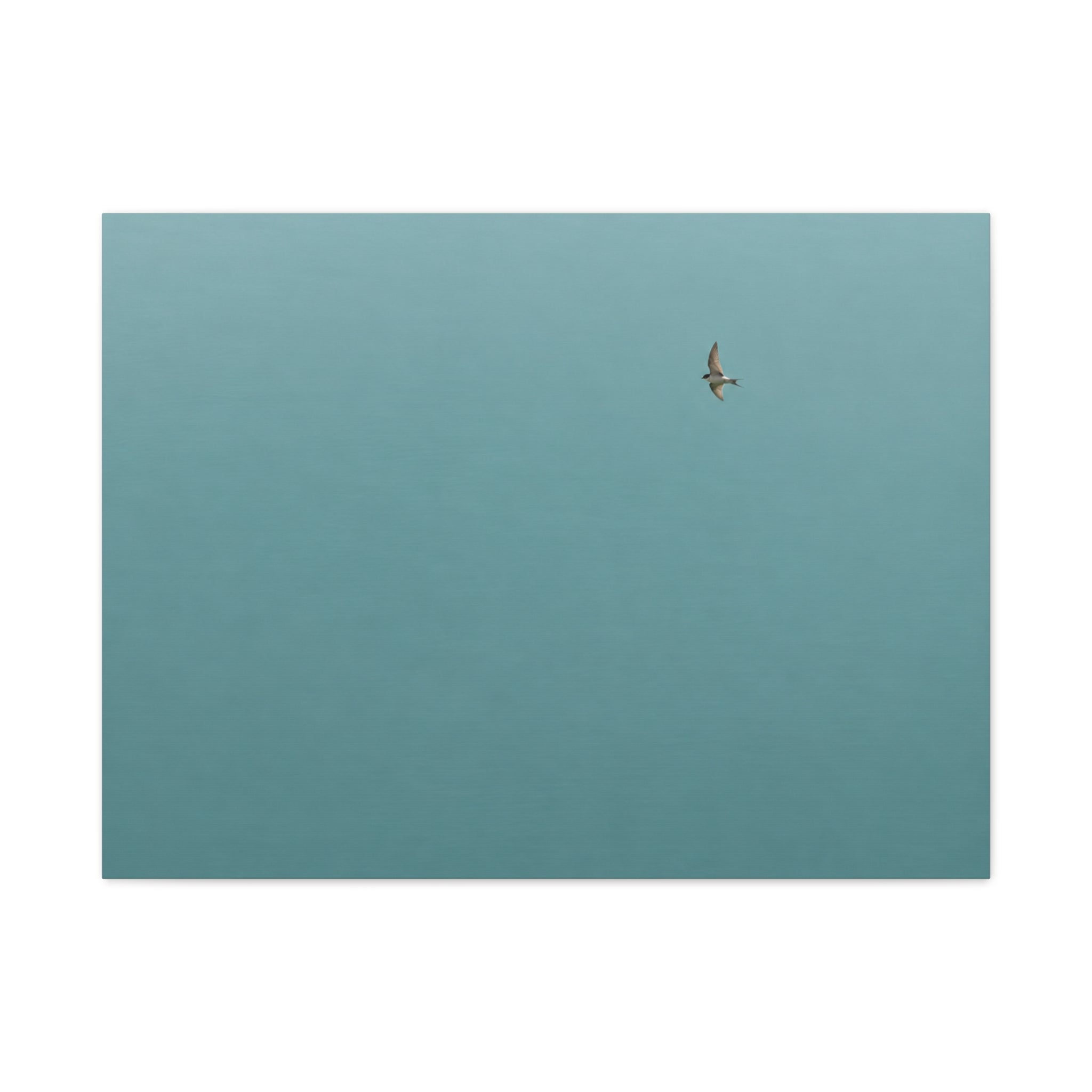 Flying Solo in Endless Skies