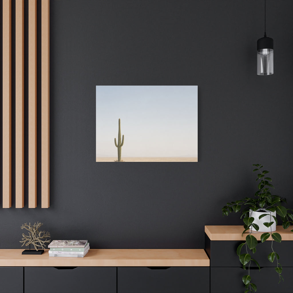 Solitary Cactus