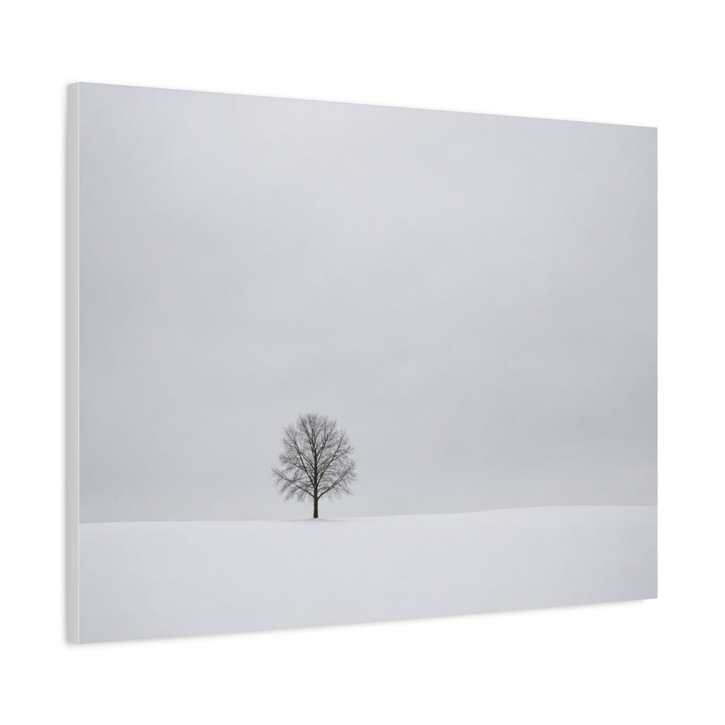 Tree in Winter Solitude