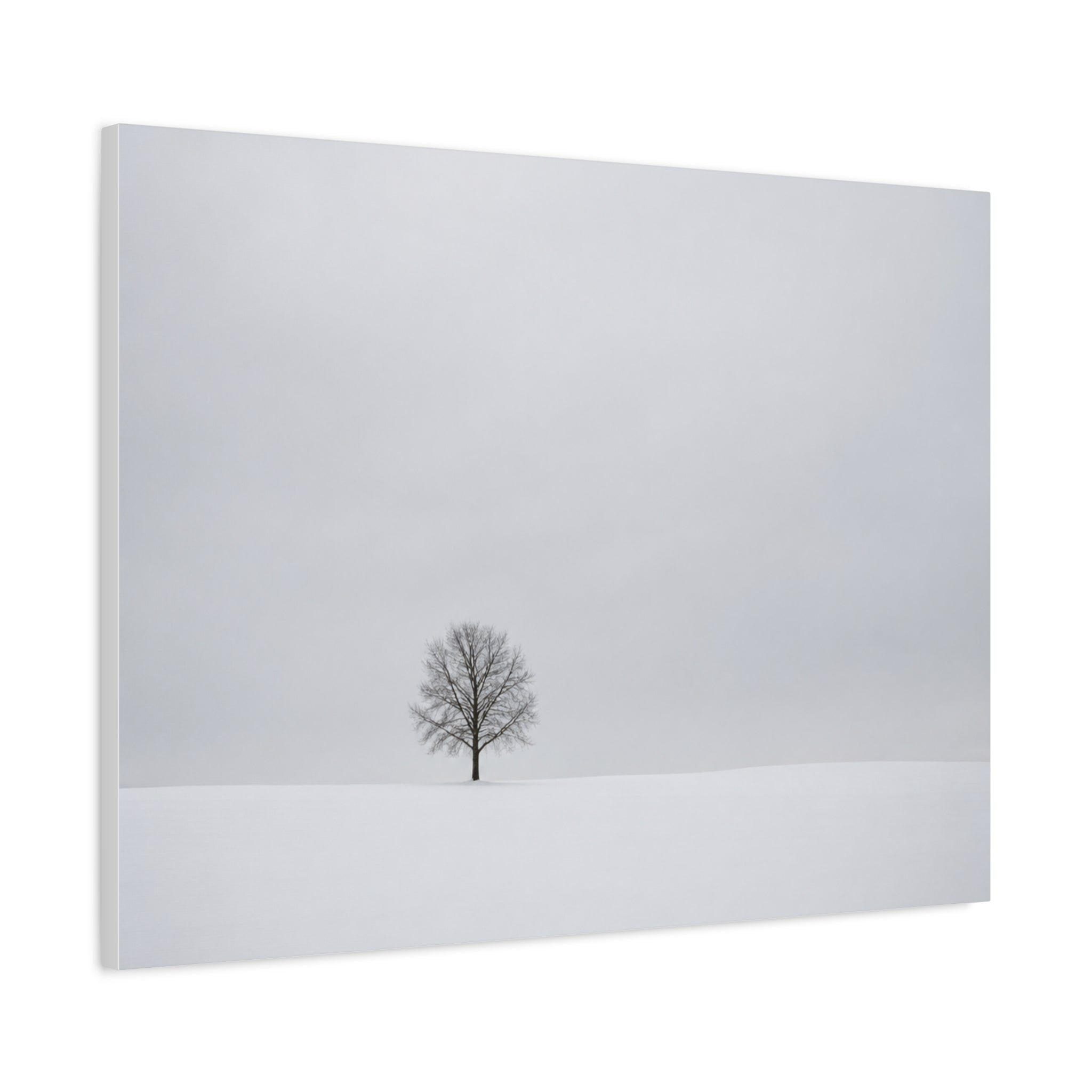 Tree in Winter Solitude