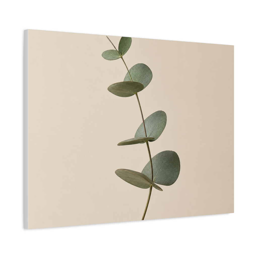 Elegant Eucalyptus Sprig