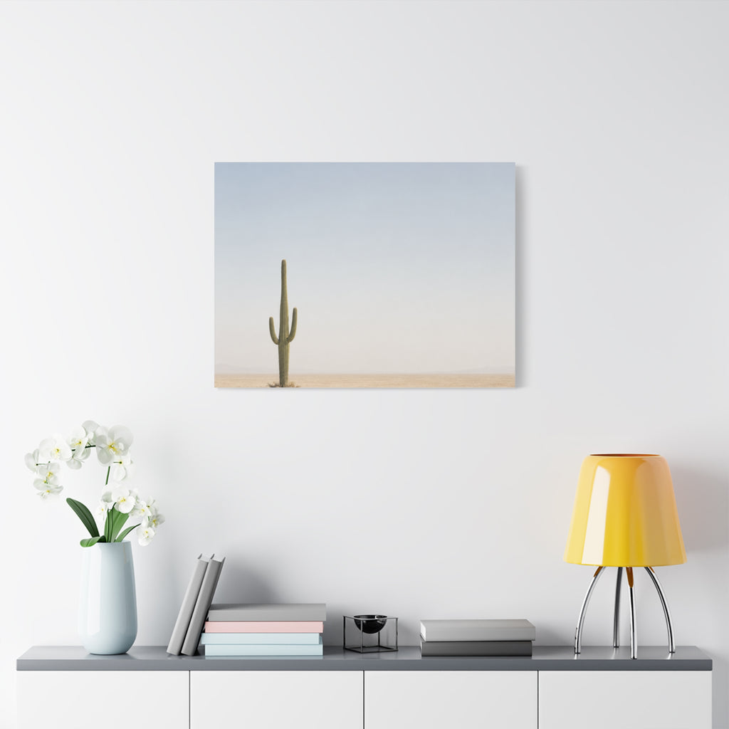 Solitary Cactus