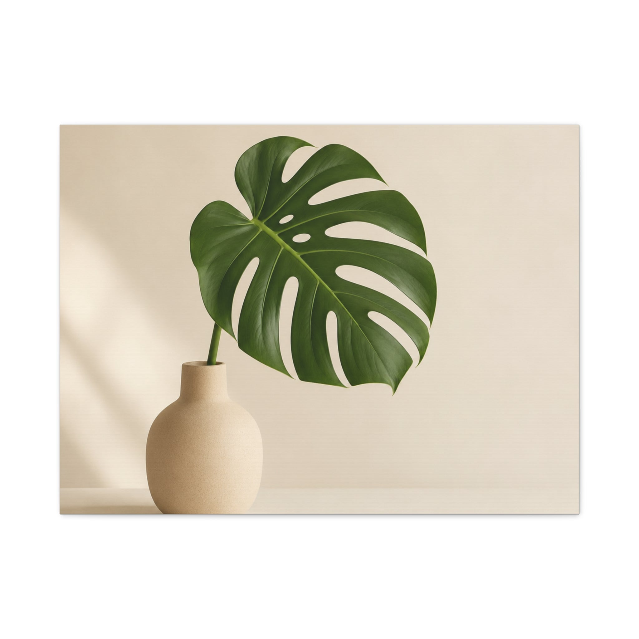 Monstera Leaf in Soft Light